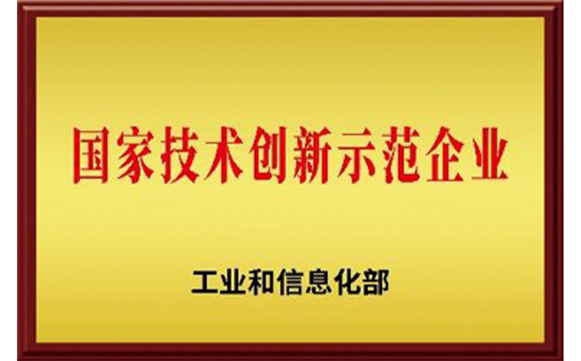 国家技术创新示范企业